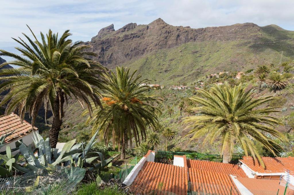 Traditional Canary Cottage In Masca Exterior photo